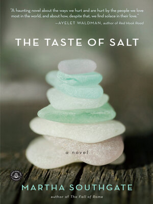 cover image of The Taste of Salt